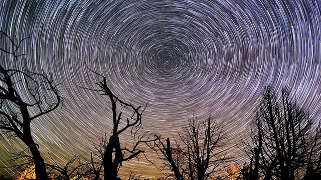 詳情圖-美麗的夜星軌跡圍繞著北極星在森林上空旋轉
