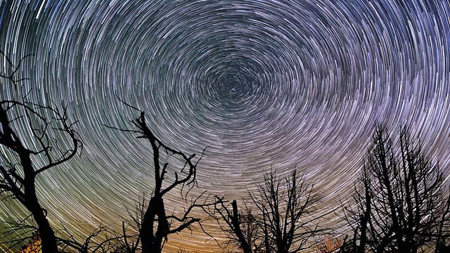 詳情圖-美麗的夜星軌跡圍繞著北極星在森林上空旋轉