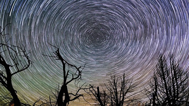 詳情圖-美麗的夜星軌跡圍繞著北極星在森林上空旋轉