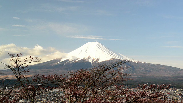 樱花盛开的富士山