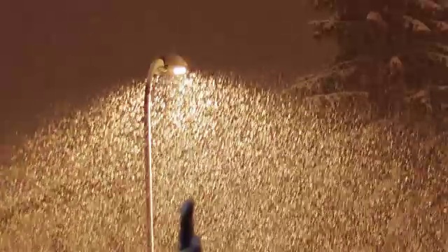 在灯柱的背景下下雪的夜晚