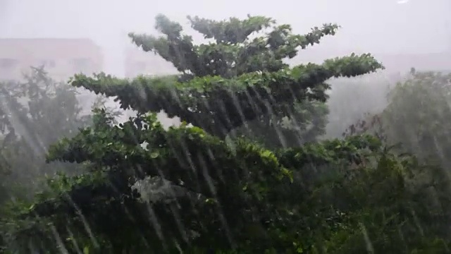 刮风的一天下着大雨。