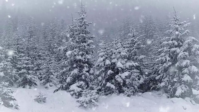 冬天的公园里下雪了