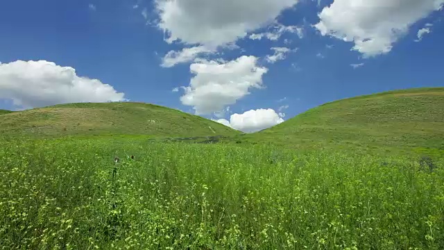 詳情圖-春天的風(fēng)景在山野花特寫(xiě)