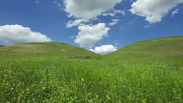 詳情圖-春天的風(fēng)景在山野花特寫(xiě)