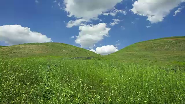 詳情圖-春天的風(fēng)景在山野花特寫(xiě)