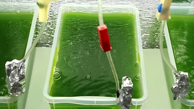 绿色起泡液体容器概述