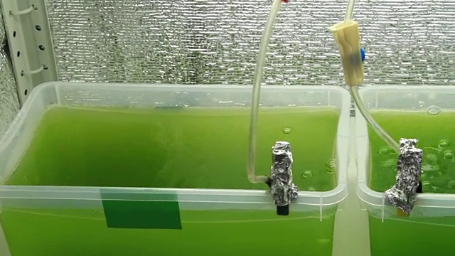 绿色气泡液体靠近