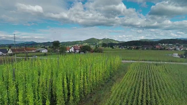 美丽的风景与一个村庄