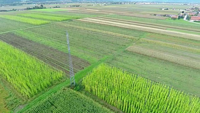 大自然中的田野