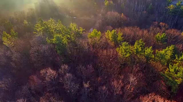 日出在神秘山谷的迷雾河