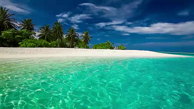 詳情圖-熱帶瀉湖上的棕櫚樹和白色沙灘