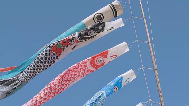 Koinobori Japanease鲤鱼流光,东京,日本