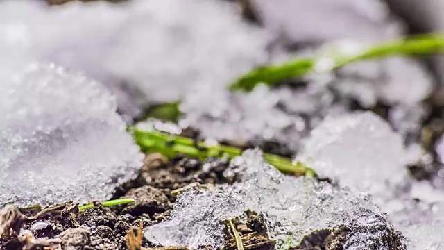 融化的雪/融化的冰/泉水/春天的时间