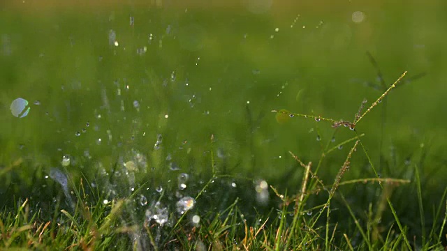 水洒水器弹出慢动作