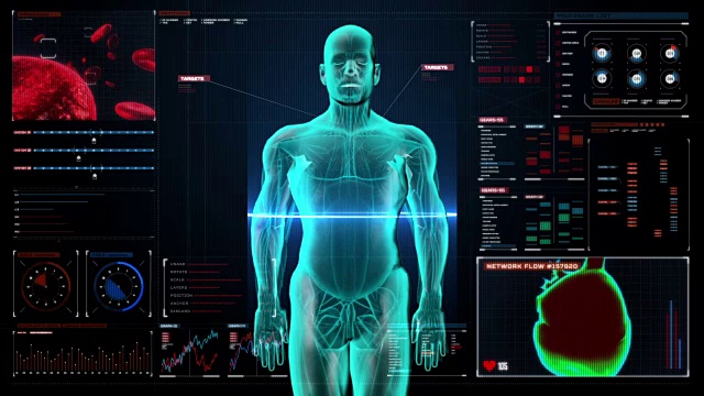 人体内脏，数字显示消化系统。前视图。