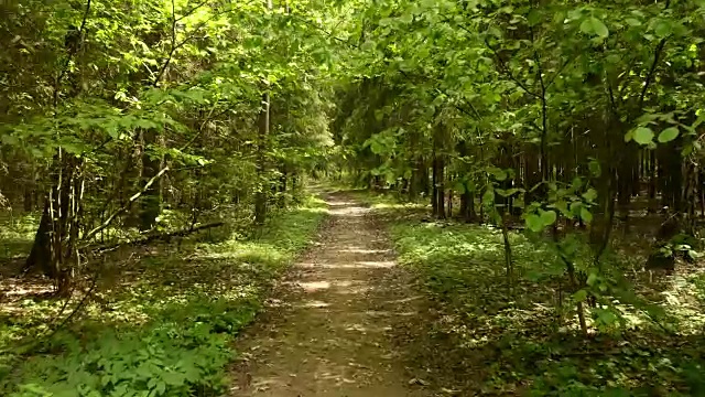 公园里的小路。平稳缓慢的凸轮拍摄。干净明亮的白天。
