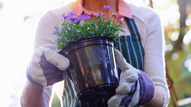 成熟女人检查植物