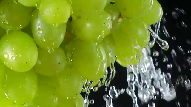慢镜头中，水溅在新鲜、成熟的绿色Sultana葡萄上