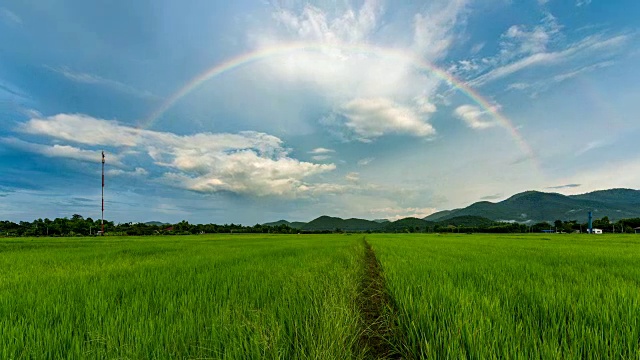 时间流逝——彩虹掠过稻田