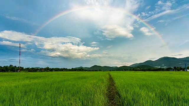 时间流逝-彩虹在稻田(Zoom_out)