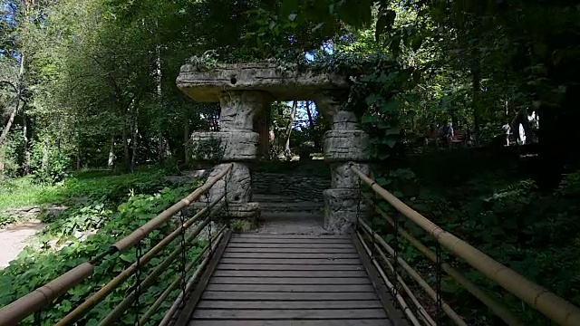 在热带公园的吊桥上漫步