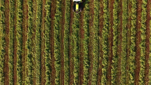 拖拉机躺在剪草的草堆上。俯视图