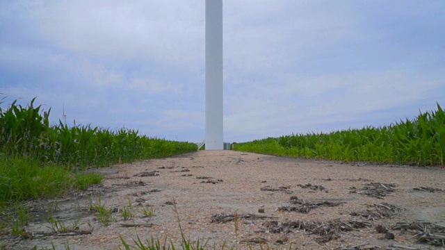 风力涡轮机。风力涡轮机的特写站在玉米田之间的乡村道路上