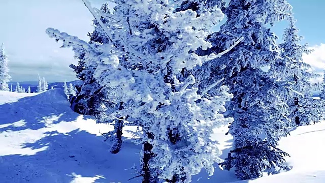 詳情圖-山上冬天的樹木被新雪慢慢覆蓋。1920,x1080