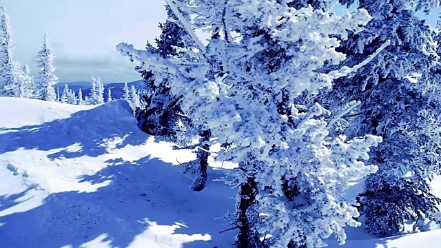 詳情圖-山上冬天的樹木被新雪慢慢覆蓋。1920,x1080