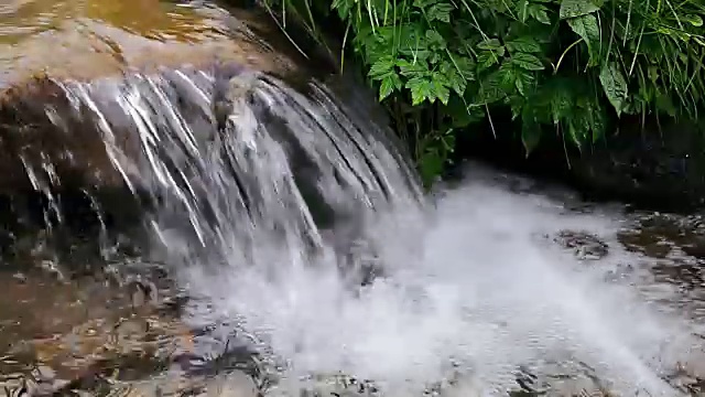 森林小溪流过岩石