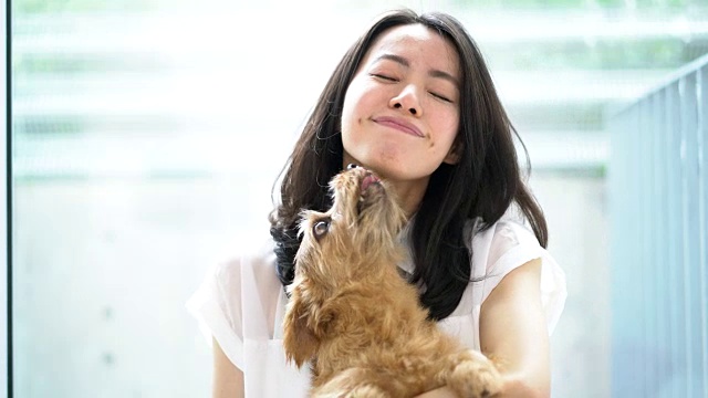 年轻女人和狗