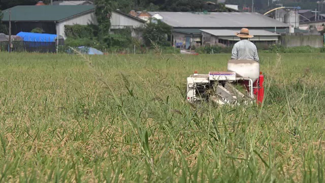 农民在收获期间在联合收割机里工作