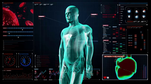 扫描男性身体血管数字显示仪表盘。