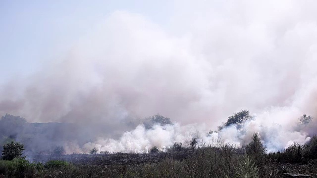 草原火灾