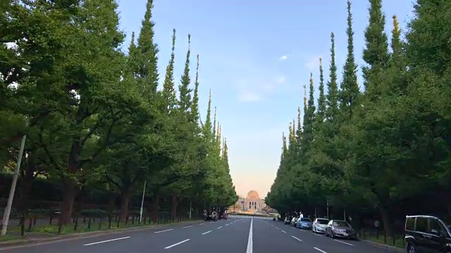 日本东京的街道