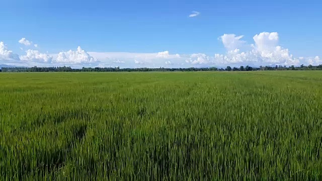 詳情圖-鶴觀綠野和多云的天空