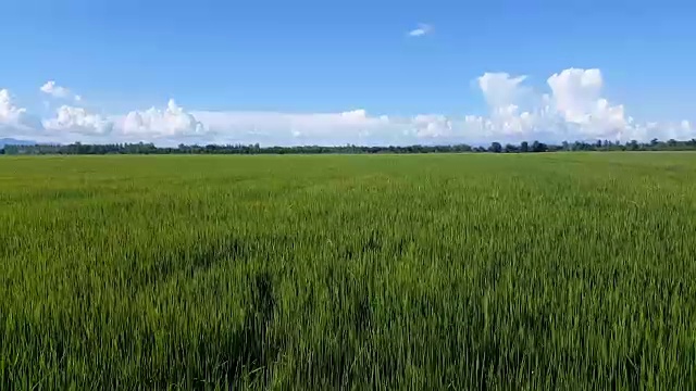 詳情圖-鶴觀綠野和多云的天空