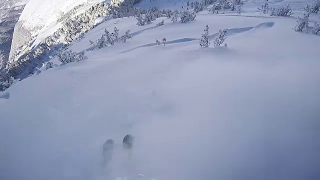 极限免费滑雪者在一个完美的冬日在新鲜的粉末雪中滑雪