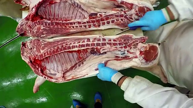 肉类加工厂