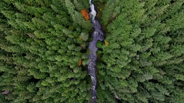 空中的瀑布和河流急流深森林景观