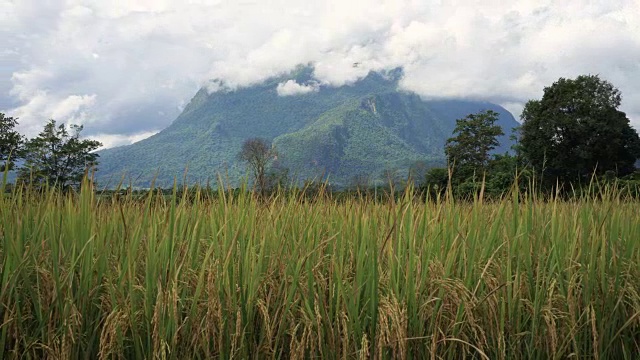 Doi luang chiang dao在泰国清迈，时间流逝，zoom