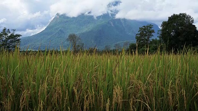 Doi luang chiang dao在泰国清迈，时间流逝，倾斜
