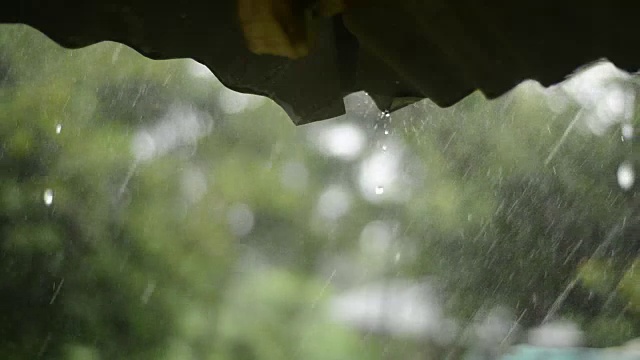 雨从屋顶在农场与绿色背景，雨在有机农场Mfangano岛肯尼亚