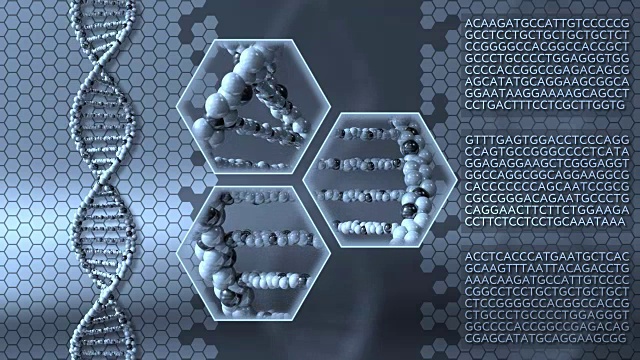 旋转DNA分子的蓝色运动背景。遗传研究，医学实验室或分子诊断概念。全高清无缝循环动画