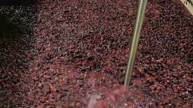 详情图-在酿酒厂工作。打了帽