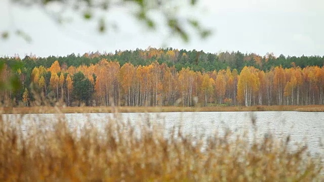 湖的全景