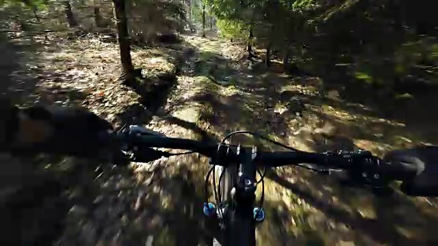 山地车在树林中高速骑行，个人视角骑行4K 30fps。