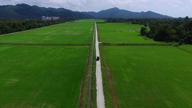 航拍:稻田间有卡车的道路。