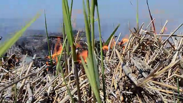 野外火灾